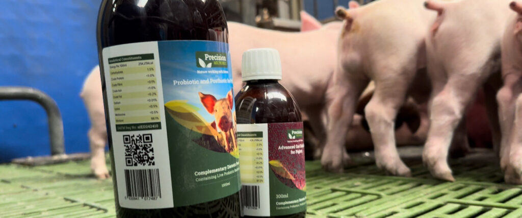 Precision Microbes for Pigs